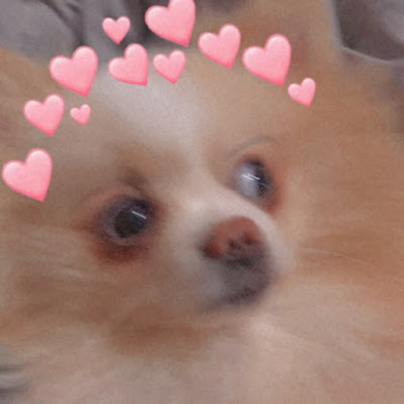 Meet your Posher, Sonia - Picture 1 of 1